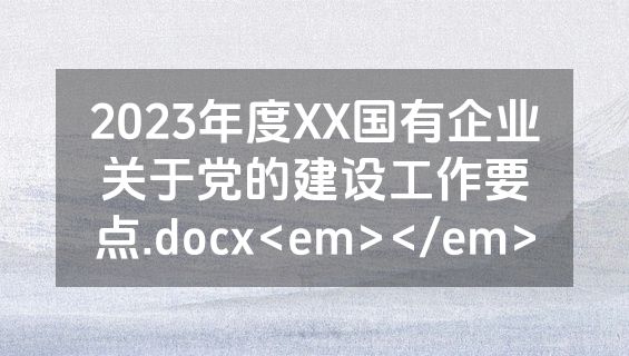 2023年度XX国有企业关于党的建设工作要点.docx<em></em>