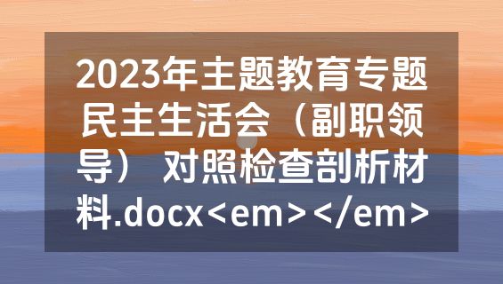 2023年主题教育专题民主生活会（副职领导） 对照检查剖析材料.docx<em></em>