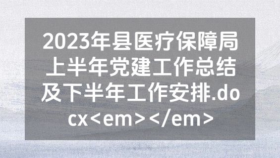 2023年县医疗保障局上半年党建工作总结及下半年工作安排.docx<em></em>