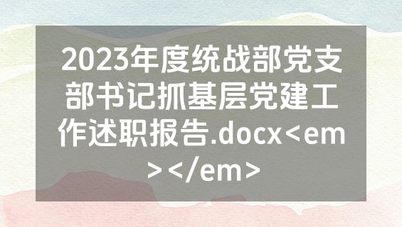 2023年度统战部党支部书记抓基层党建工作述职报告.docx<em></em>