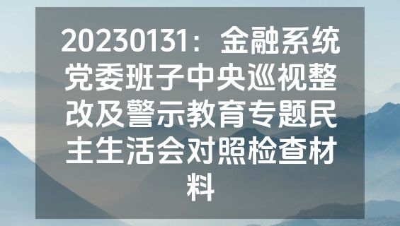 20230131：金融系统党委班子中央巡视整改及警示教育专题民主生活会对照检查材料