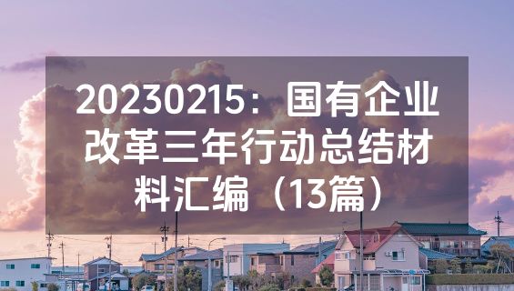 20230215：国有企业改革三年行动总结材料汇编（13篇）