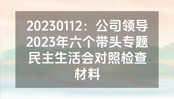 20230112：公司领导2023年六个带头专题民主生活会对照检查材料