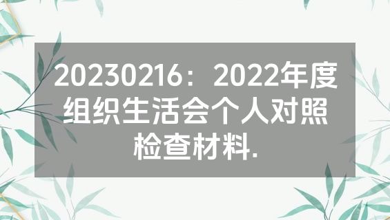 20230216：2022年度组织生活会个人对照检查材料.