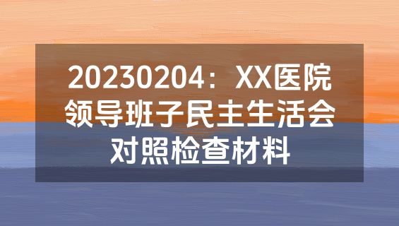 20230204：XX医院领导班子民主生活会对照检查材料