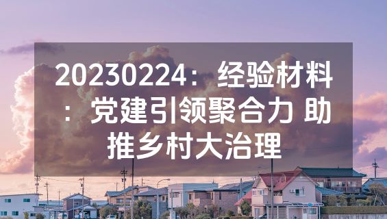 20230224：经验材料：党建引领聚合力 助推乡村大治理
