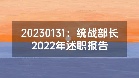 20230131：统战部长2022年述职报告