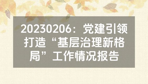 20230206：党建引领打造“基层治理新格局”工作情况报告