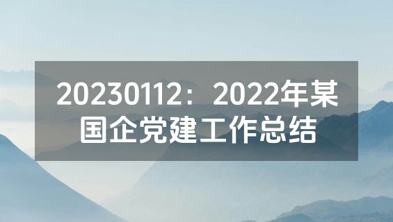 20230112：2022年某国企党建工作总结