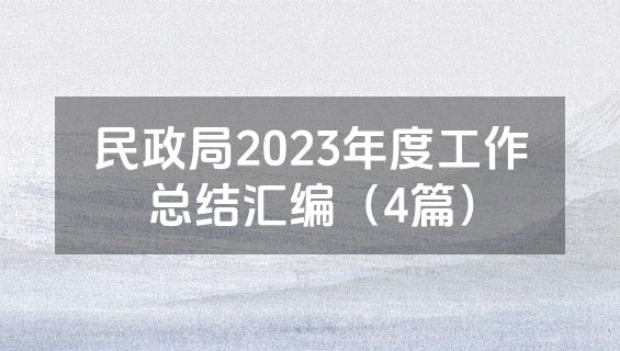 民政局2023年度工作总结汇编（4篇）