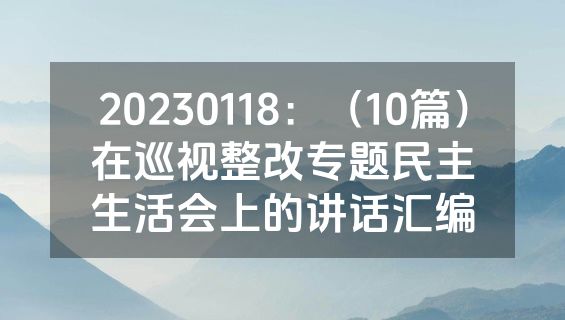20230118：（10篇）在巡视整改专题民主生活会上的讲话汇编