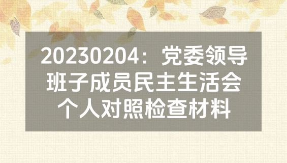 20230204：党委领导班子成员民主生活会个人对照检查材料