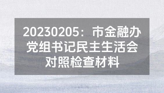 20230205：市金融办党组书记民主生活会对照检查材料
