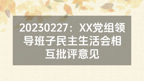 20230227：XX党组领导班子民主生活会相互批评意见