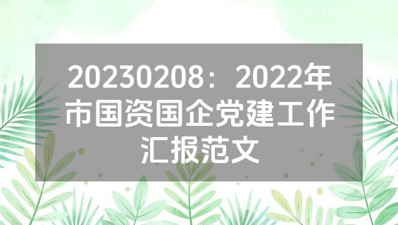 20230208：2022年市国资国企党建工作汇报范文