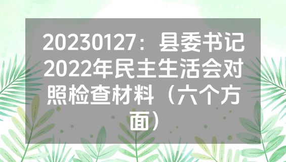 20230127：县委书记2022年民主生活会对照检查材料（六个方面）