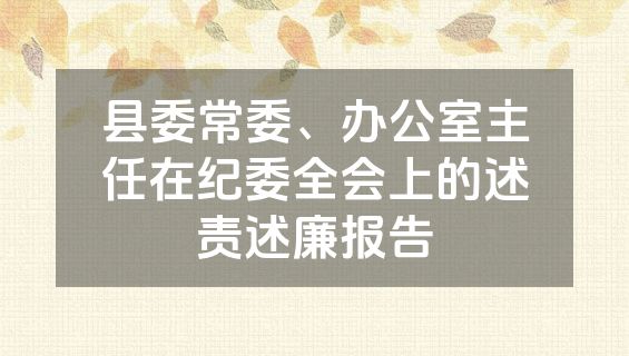 县委常委、办公室主任在纪委全会上的述责述廉报告