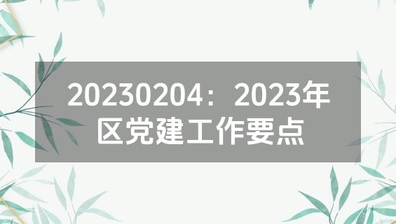 20230204：2023年区党建工作要点