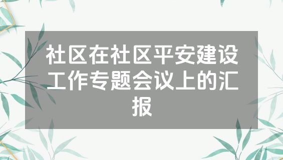 社区在社区平安建设工作专题会议上的汇报
