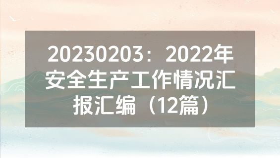 20230203：2022年安全生产工作情况汇报汇编（12篇）