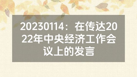 20230114：在传达2022年中央经济工作会议上的发言
