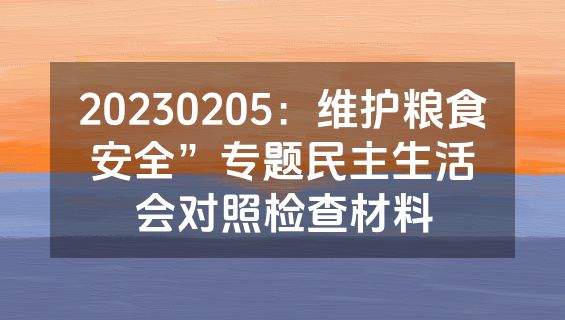 20230205：维护粮食安全”专题民主生活会对照检查材料
