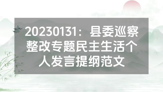 20230131：县委巡察整改专题民主生活个人发言提纲范文