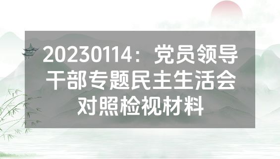 20230114：党员领导干部专题民主生活会对照检视材料