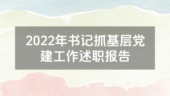 2022年书记抓基层党建工作述职报告