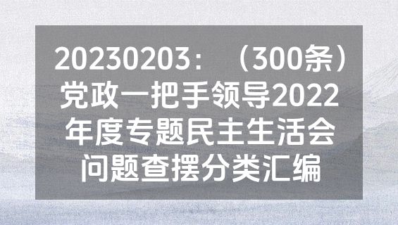 20230203：（300条）党政一把手领导2022年度专题民主生活会问题查摆分类汇编