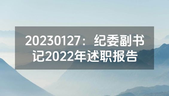 20230127：纪委副书记2022年述职报告
