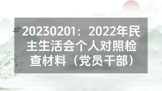 20230201：2022年民主生活会个人对照检查材料（党员干部）