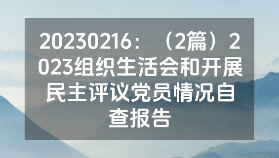 20230216：（2篇）2023组织生活会和开展民主评议党员情况自查报告
