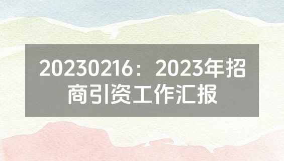 20230216：2023年招商引资工作汇报