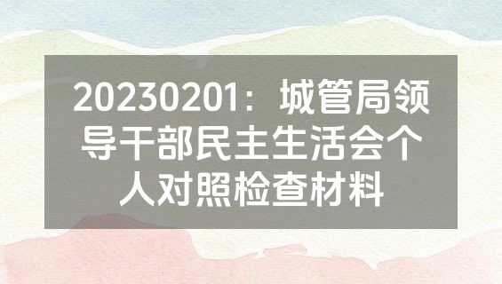 20230201：城管局领导干部民主生活会个人对照检查材料
