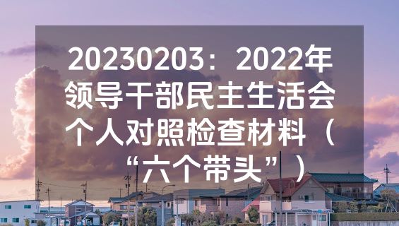 20230203：2022年领导干部民主生活会个人对照检查材料（“六个带头”）
