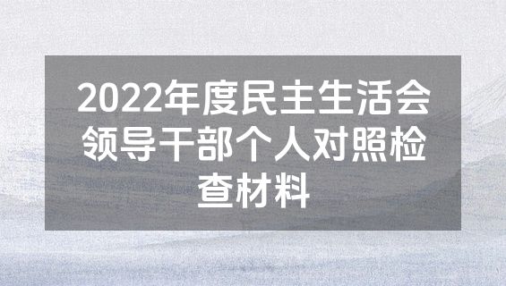2022年度民主生活会领导干部个人对照检查材料