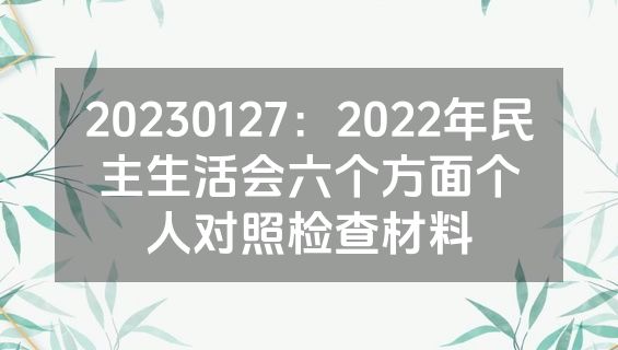 20230127：2022年民主生活会六个方面个人对照检查材料