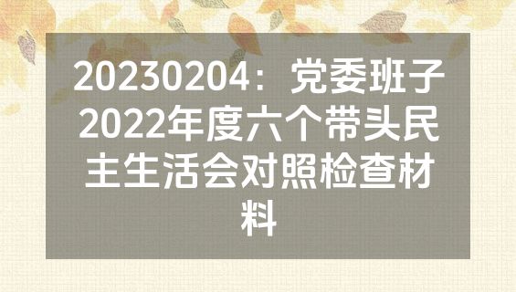 20230204：党委班子2022年度六个带头民主生活会对照检查材料
