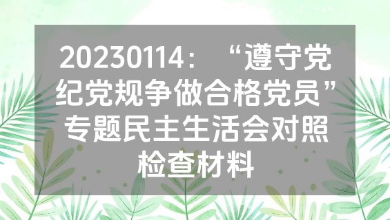 20230114：“遵守党纪党规争做合格党员”专题民主生活会对照检查材料