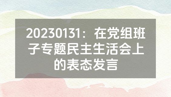20230131：在党组班子专题民主生活会上的表态发言