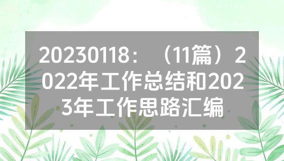 20230118：（11篇）2022年工作总结和2023年工作思路汇编