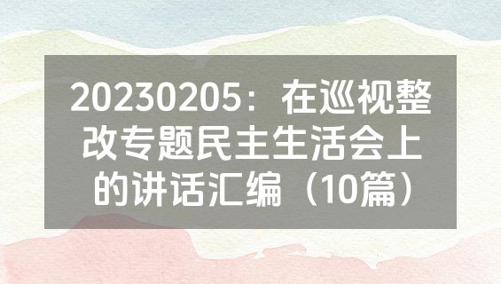 20230205：在巡视整改专题民主生活会上的讲话汇编（10篇）
