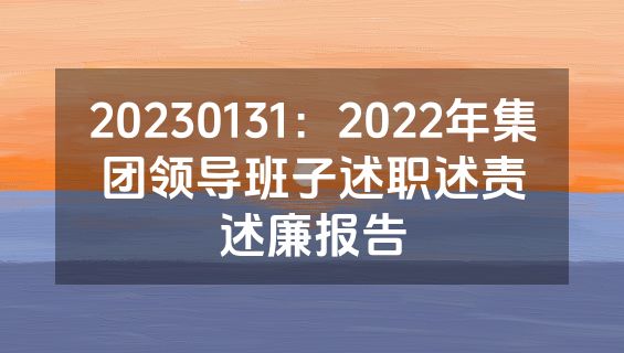 20230131：2022年集团领导班子述职述责述廉报告