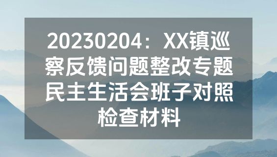 20230204：XX镇巡察反馈问题整改专题民主生活会班子对照检查材料