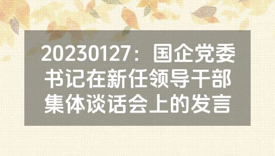 20230127：国企党委书记在新任领导干部集体谈话会上的发言