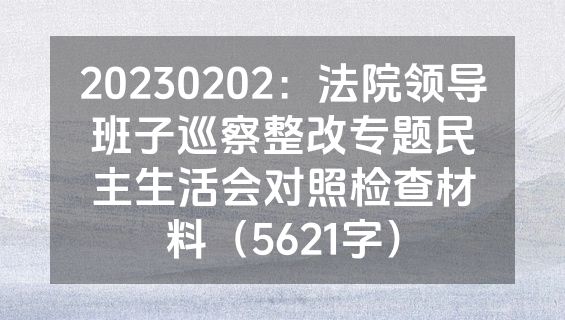 20230202：法院领导班子巡察整改专题民主生活会对照检查材料（5621字）