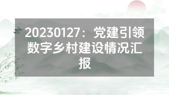 20230127：党建引领数字乡村建设情况汇报