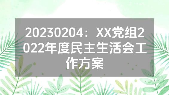 20230204：XX党组2022年度民主生活会工作方案