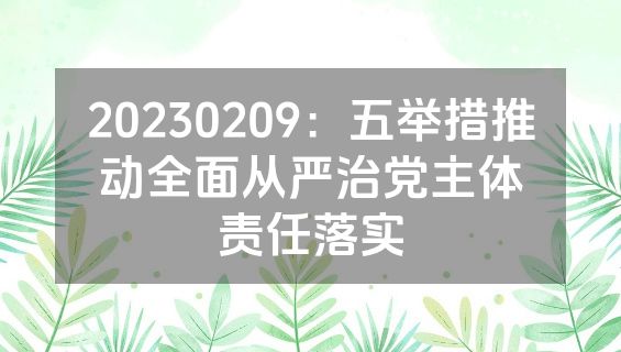 20230209：五举措推动全面从严治党主体责任落实